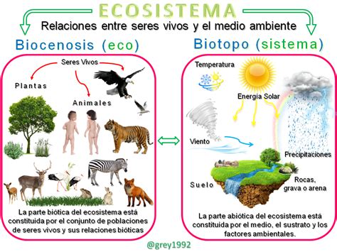 Biocenosis o Comunidades Bióticas — Hive