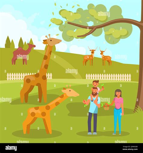 Giraffe feeding tree Stock Vector Images - Alamy