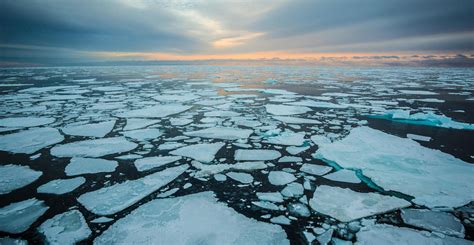 Arctic sea ice winter peak in 2023 is fifth lowest on record - Carbon Brief