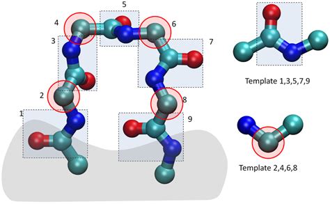 Decomposition of a 4-residue loop into a set of rigid fragments. The... | Download Scientific ...