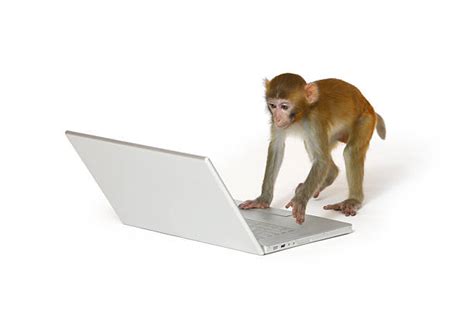 Monkey Computer Stock Photos, Pictures & Royalty-Free Images - iStock