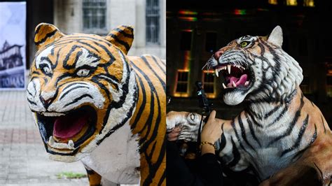 ‘Jed’s no more’: UST tiger’s ‘glow-up’ impresses Thomasians | The Varsitarian