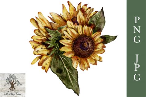 Sunflower Watercolor Bouquet Graphic by willowpaigefarms · Creative Fabrica