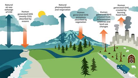 Climate Change Explained | Pierce County, WA - Official Website