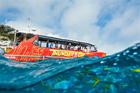 Thundercat Whitsundays - All Inclusive Snorkeling Tour - Airlie Beach ...