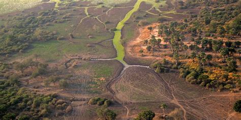 Selous Game Reserve in Tanzania - Sunny Safaris