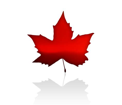 Canadian Maple Leaf - Cliparts.co