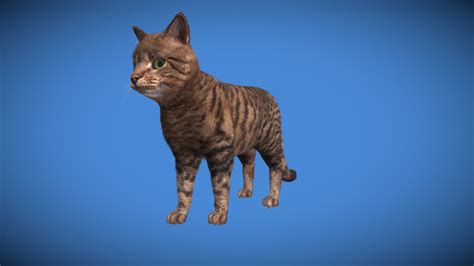 Realistic cat wish real-time fur - 3D model by IndieCats [2676458 ...