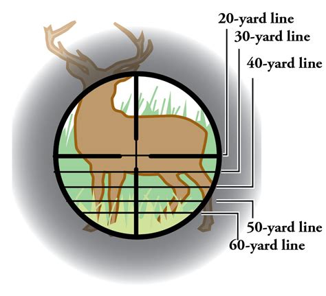 Crossbow Deer Hunting Tips - Whitetail vs Crossbow