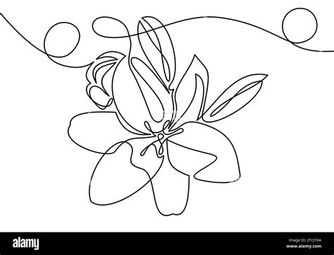 Hand drawn orchid flowers. One line drawing. illustration Stock Vector ...