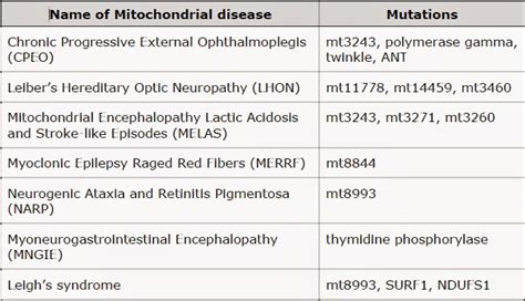 CATECHIZE: Mitochondrial Diseases their Types, Diagnosis & Treatment ...