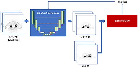 Deep learning-based whole-body PSMA PET/CT attenuation correction ...