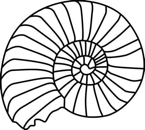 SVG > animal geology shell paleontology - Free SVG Image & Icon. | SVG Silh