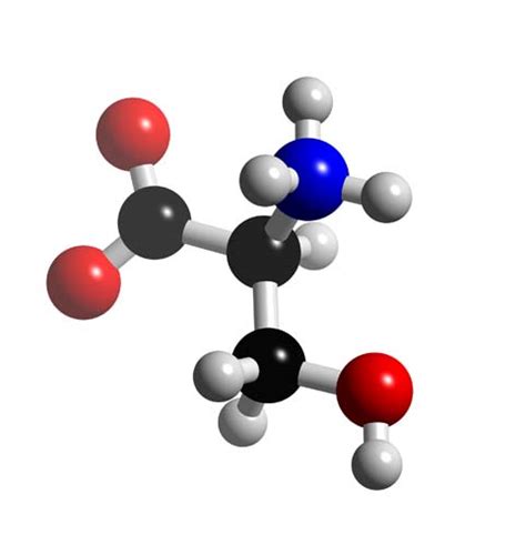 Serine Structure