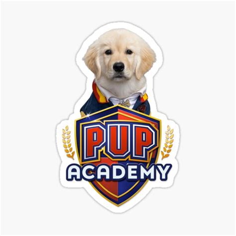 Pup Academy Corazon | ubicaciondepersonas.cdmx.gob.mx