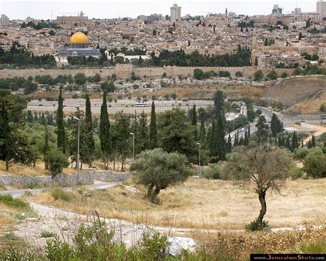 Jerusalem Photos :: Mount of Olives : Old city view from mount of Olives