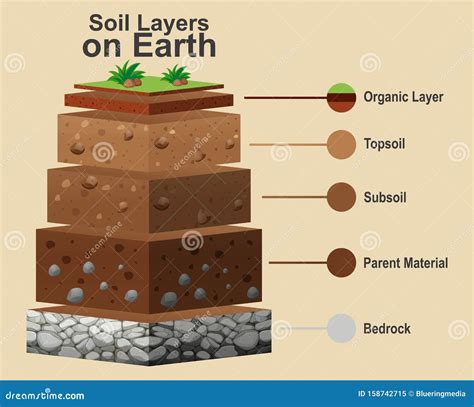 Showing Soil Layers Of Earth. Cross Section, Schematic Education Poster ...