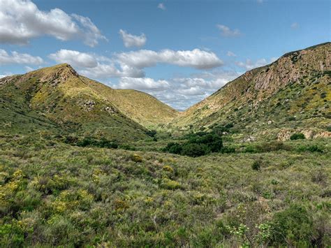 Hike Mission Trails Visitor Center Loop - Go Hiking San Diego