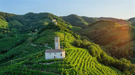 Prosecco Vineyards in Conegliano Valdobbiadene - In Pictures