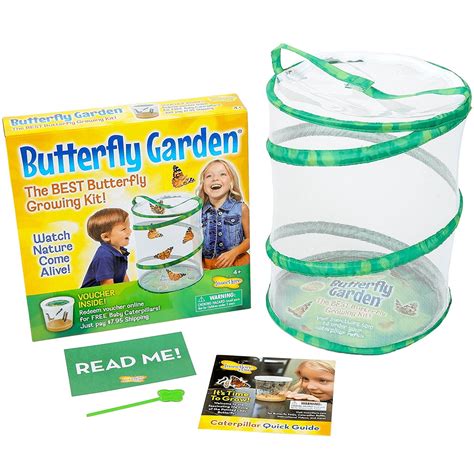 Educational Toys Insect Lore Butterfly Garden Hatching Kit Breed Your ...