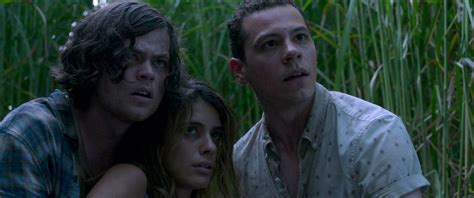 In the Tall Grass Review: Netflix Delivers Another Solid Stephen King Movie | Collider