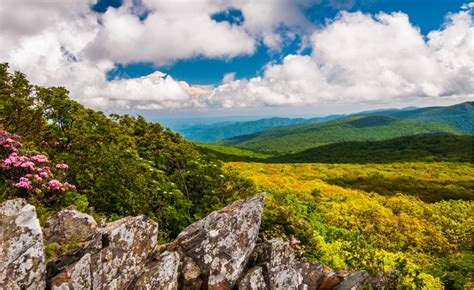 Virginia Mountains