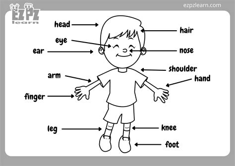 Body Parts Coloring Page - Ezpzlearn.com