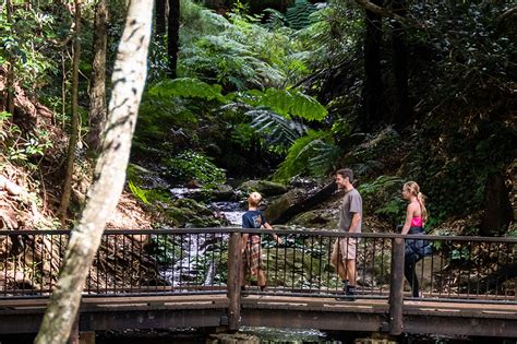 Unearth 15 Lesser-Known National Parks In Queensland