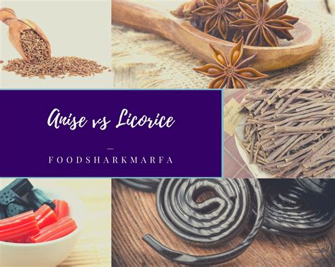 Anise vs Licorice – Just Why Do They Taste the Same? - Food Shark Marfa