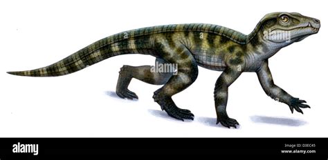 Archosaur High Resolution Stock Photography and Images - Alamy