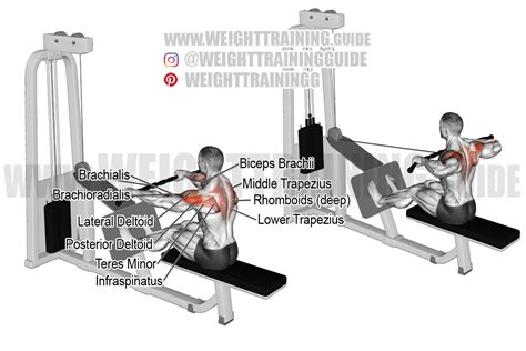 Cable rear delt row exercise instructions and video