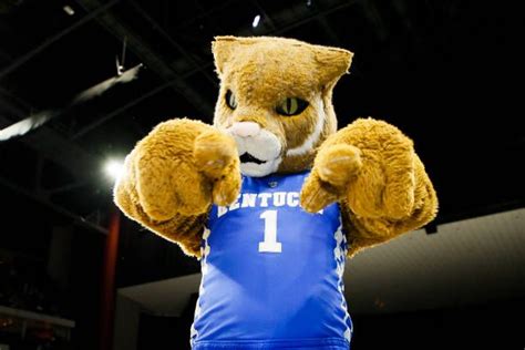 The Kentucky Wildcats mascot poses for a photo prior to a game...