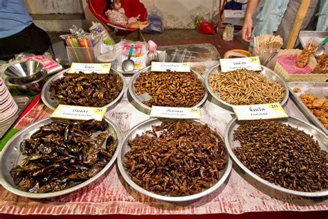 PHOTO: Fried Insect snacks for sale in Thailand