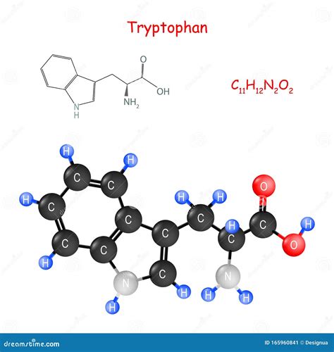 Tryptophan. Chemical Structural Formula and Model of Molecule Stock Vector - Illustration of ...