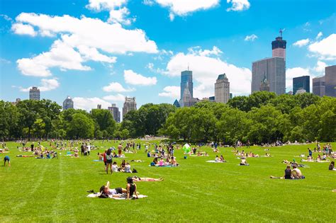 Best free things to do in NYC today from art shows to concerts