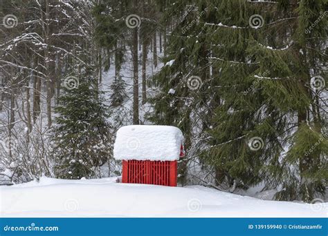 Cabin in the Woods, a House Covered in Snow Stock Photo - Image of real, residential: 139159940