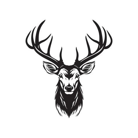 Deer Head Vector Image, Art and Design 34213207 Vector Art at Vecteezy