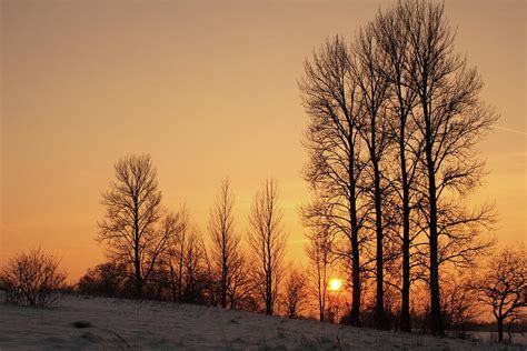 Winter Forest And Sunset by Pejft