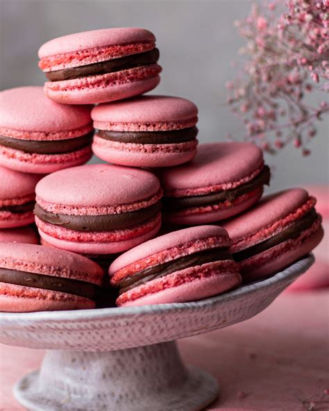 Award Winning Macarons Recipe : French Macarons State Fair Recipes Blue Ribbon Winner : Pipe ...