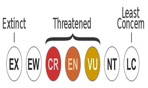 What Is The IUCN Red List? What Are The IUCN Red List Categories? - WorldAtlas