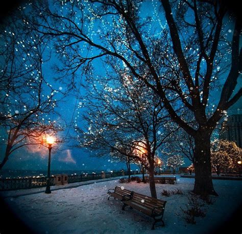 Beautiful Winter Night Pictures, Photos, and Images for Facebook, Tumblr, Pinterest, and Twitter