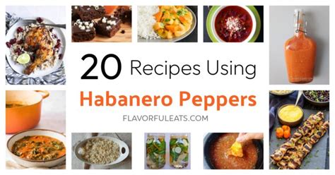 Recipes Using Habanero Peppers - Flavorful Eats