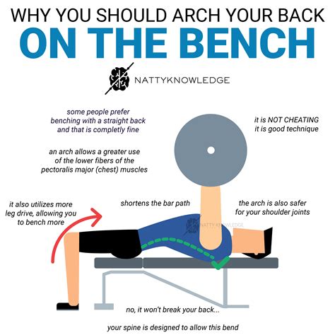 You should always arch your back on the bench press (to a certain extent). ⠀⠀⠀⠀⠀⠀⠀⠀⠀ No, it is ...