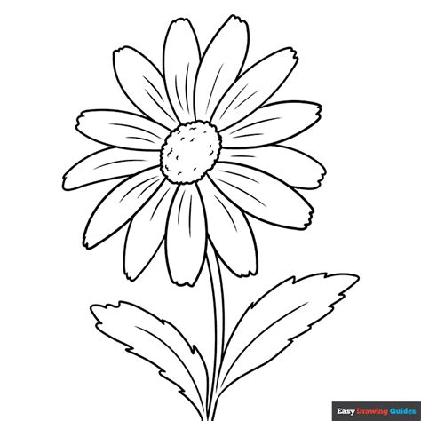 Daisy Flower Coloring Page | Easy Drawing Guides