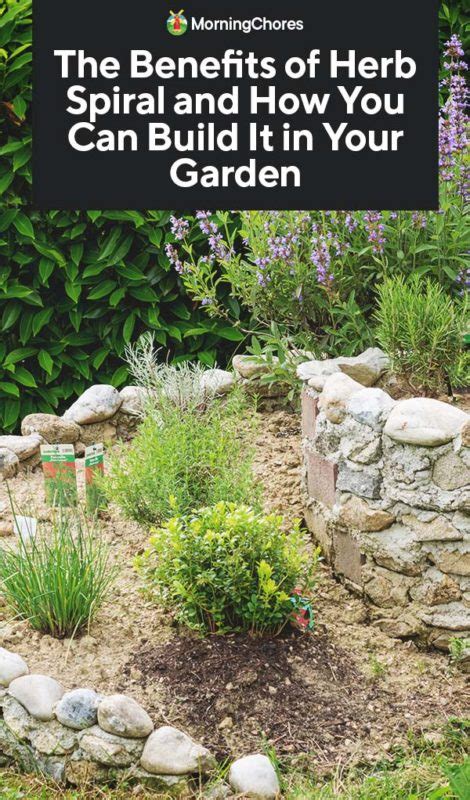 How to Build a Herb Spiral in Your Garden (and Why You Should)