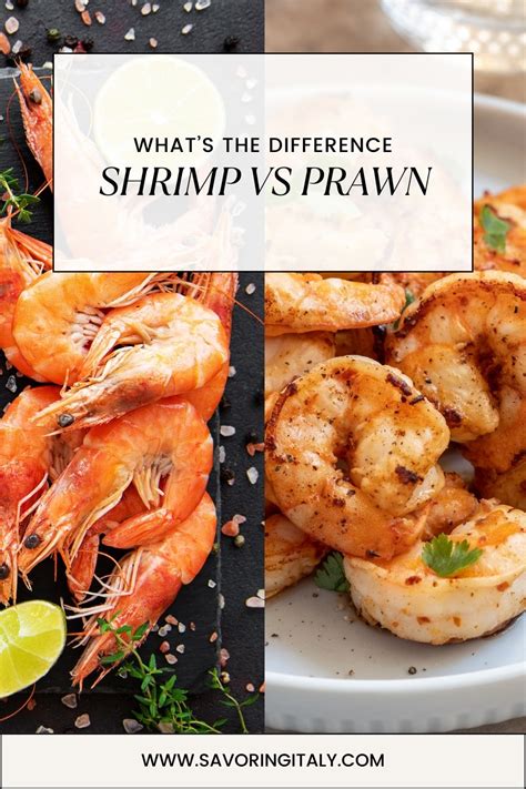 What's the Difference Between Shrimp and Prawns - Savoring Italy