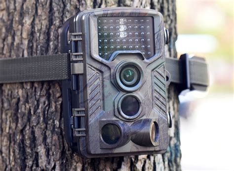 Best Trail Camera For Game, Wildlife And Hunting In2024