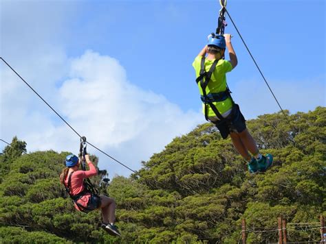 Rainforest Zipline & El Yunque National Rainforest Visit - Travel Pinto ...