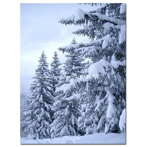 Painting Snow On Trees at PaintingValley.com | Explore collection of ...