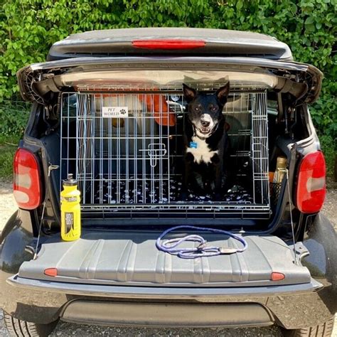 Pet Travel Safety - Are Car Dog Crates or Dog Guards better? | Petworld